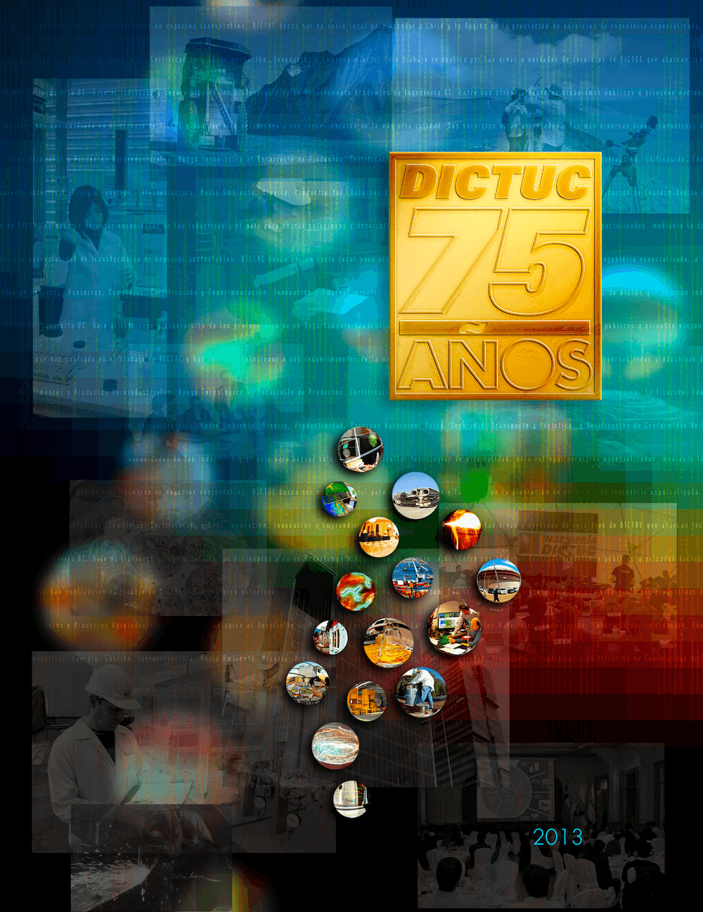 Reporte Anual 2013