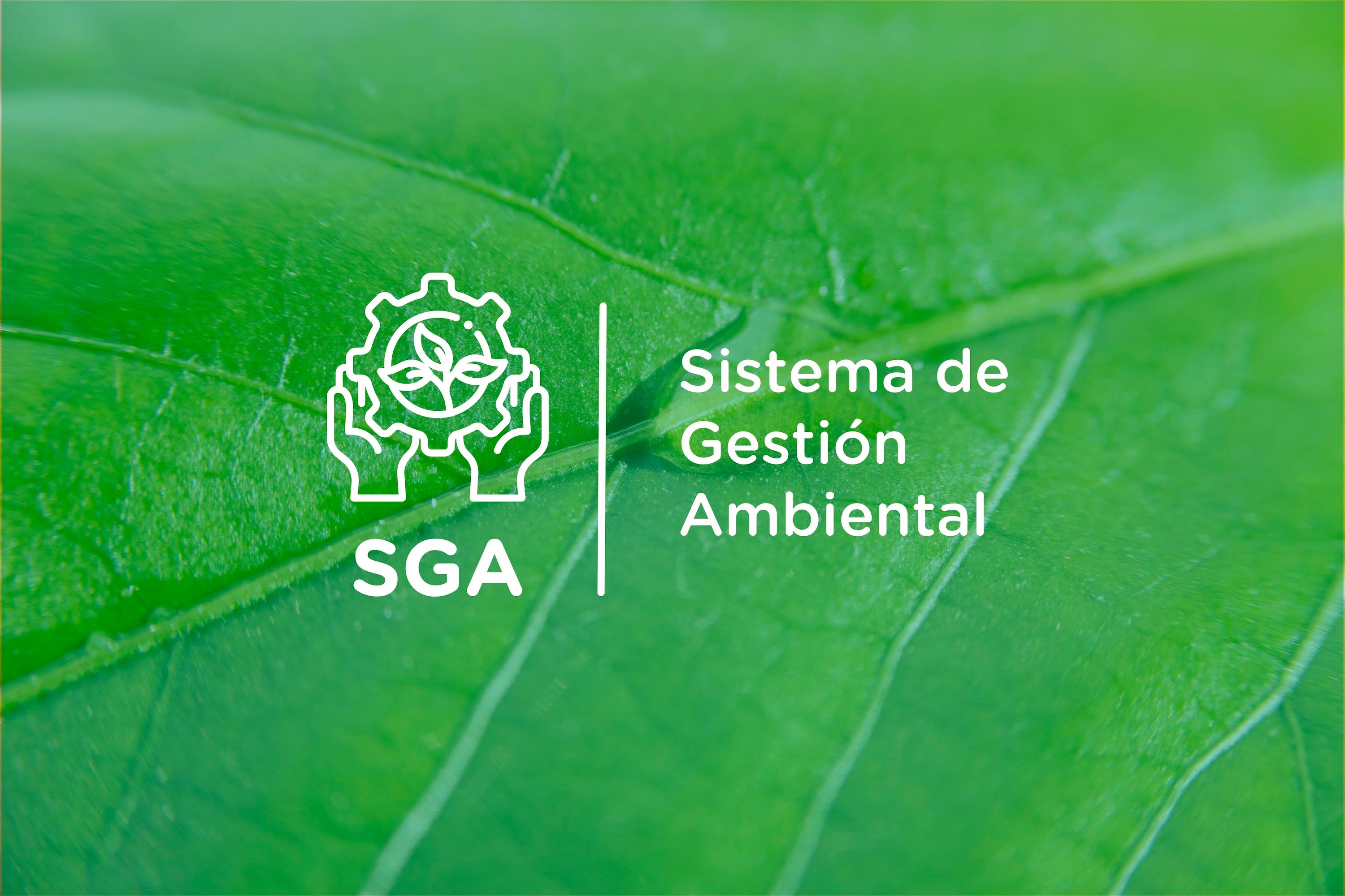 Certificación ISO 14.001 de Sistema de Gestión Ambiental de Dictuc. - 2024